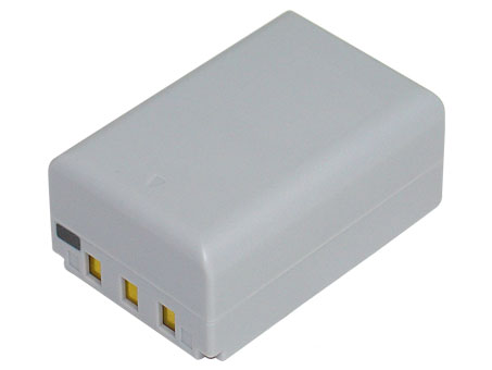 compatibile con NP-100 CASIO