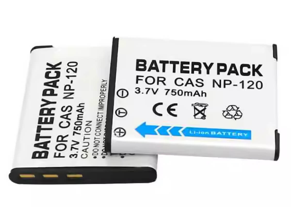 compatibile con Exilim EX-S300 CASIO