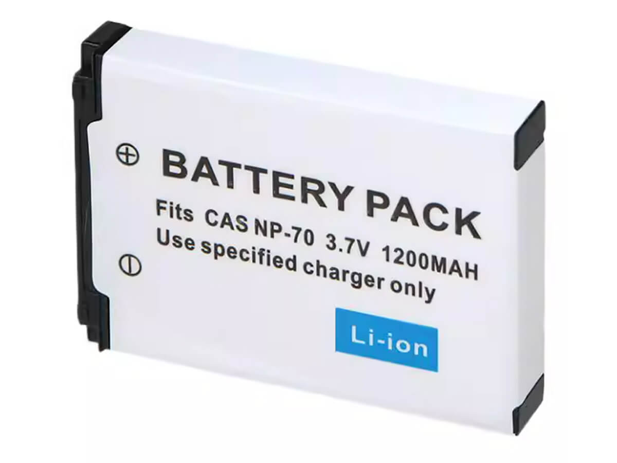 compatibile con Exilim Zoom EX-Z150 CASIO