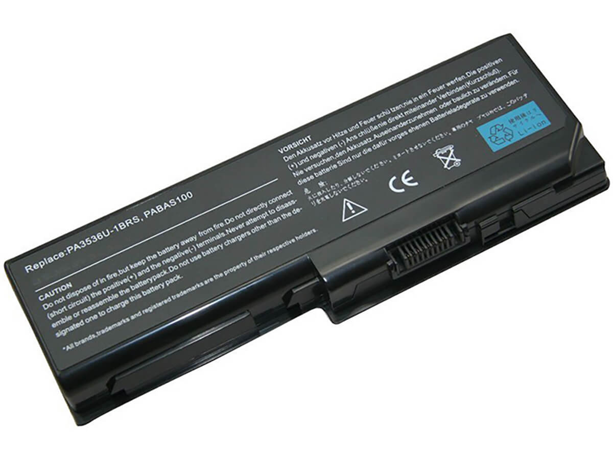 compatibile con Satellite P205 TOSHIBA